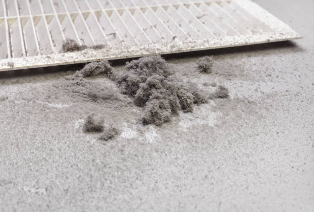 Best Air Duct Cleaning Near Me  in Grosse Pointe, MI
