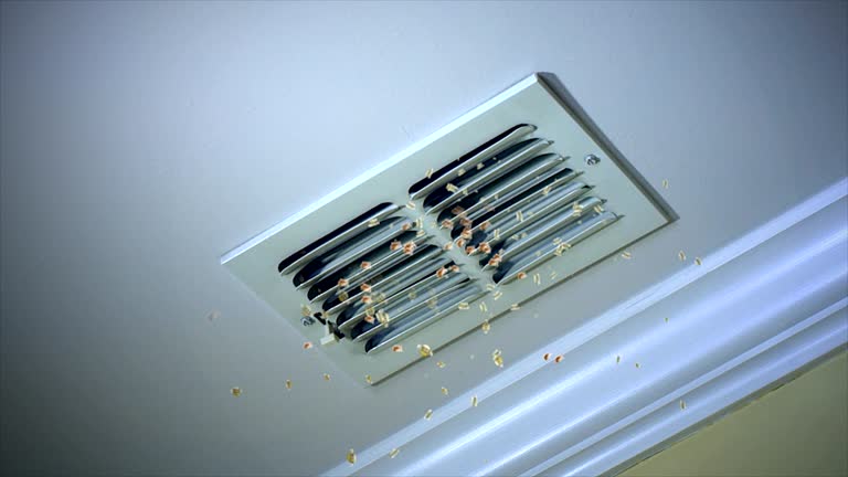 Best Affordable Duct Cleaning Services  in Grosse Pointe, MI
