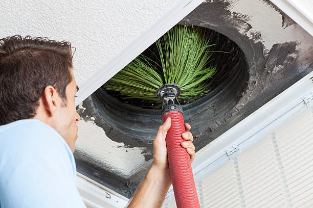 Best Affordable Air Duct Cleaning  in Grosse Pointe, MI